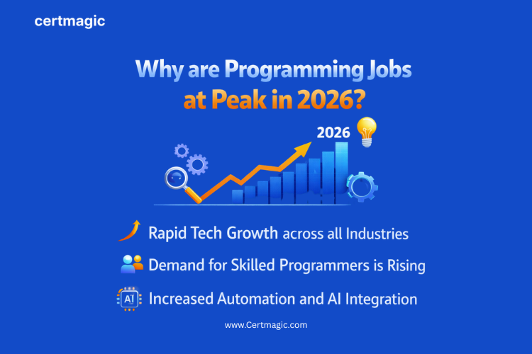 Programming Jobs 