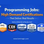Programming Jobs